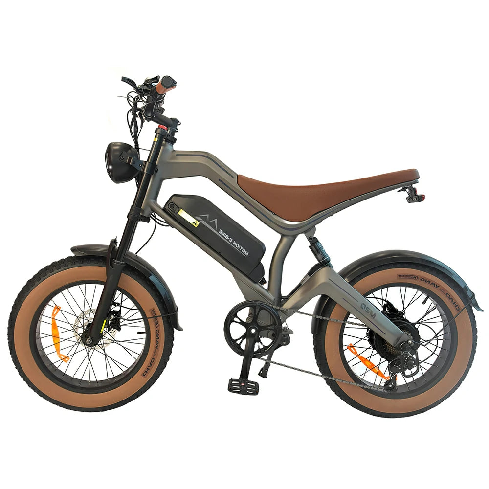 DYU M20 Electric Bike