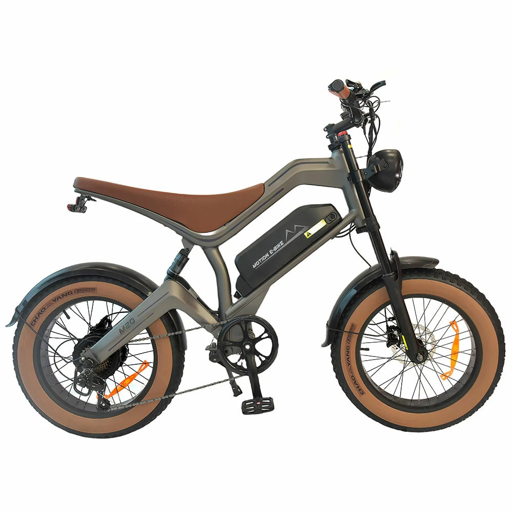 DYU M20 Electric Bike