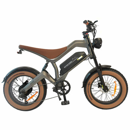 DYU M20 Electric Bike