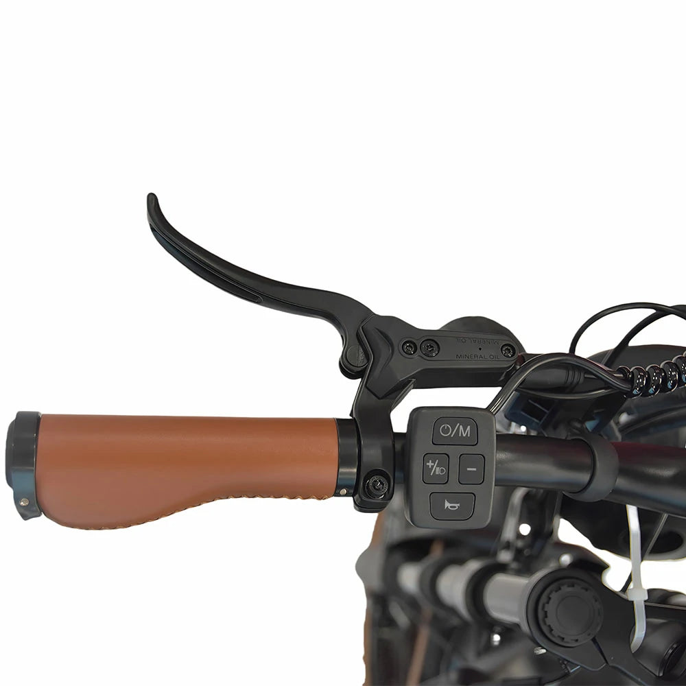 DYU M20 Electric Bike