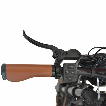 DYU M20 Electric Bike