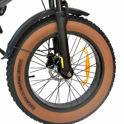 DYU M20 Electric Bike
