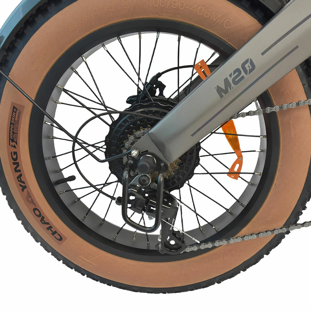 DYU M20 Electric Bike