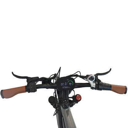 DYU M20 Electric Bike