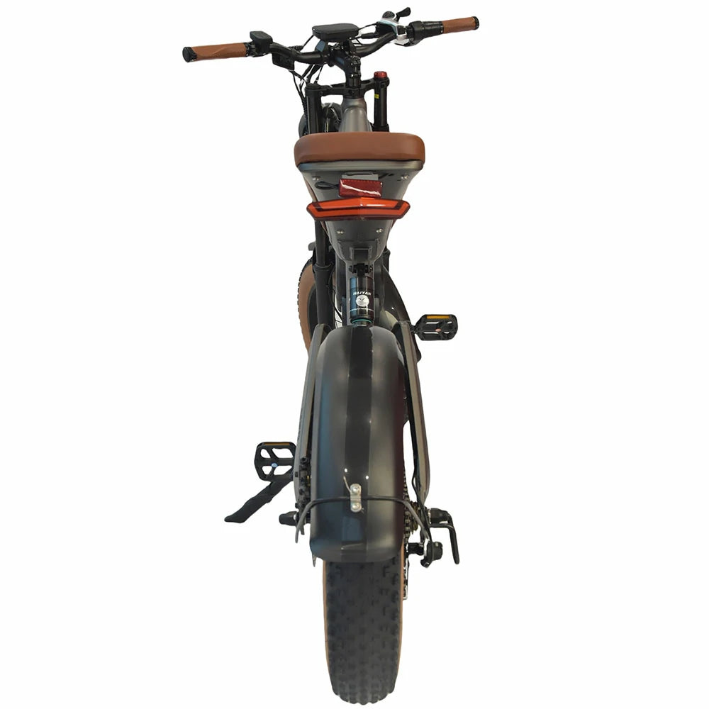 DYU M20 Electric Bike