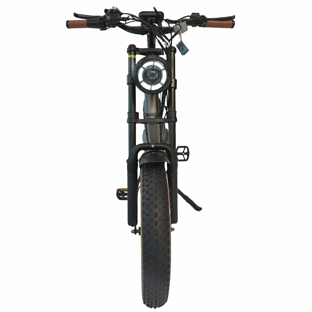 DYU M20 Electric Bike