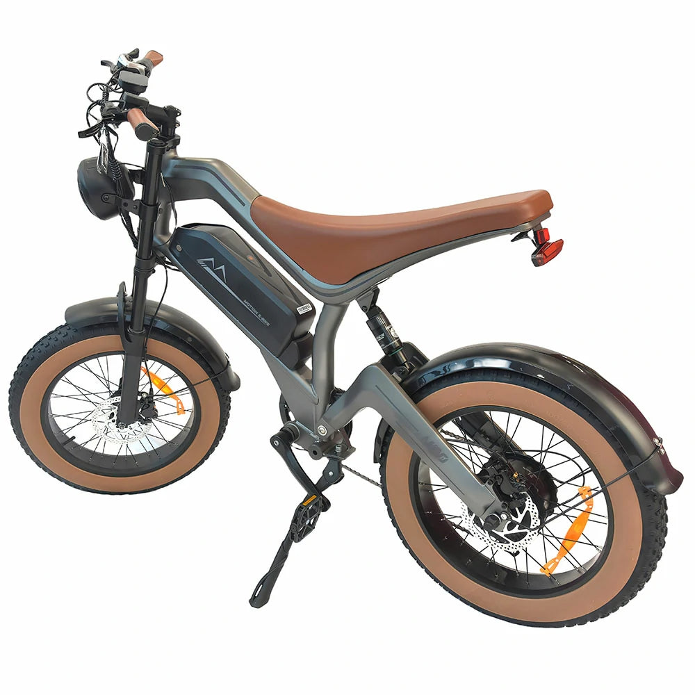 DYU M20 Electric Bike