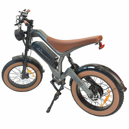 DYU M20 Electric Bike